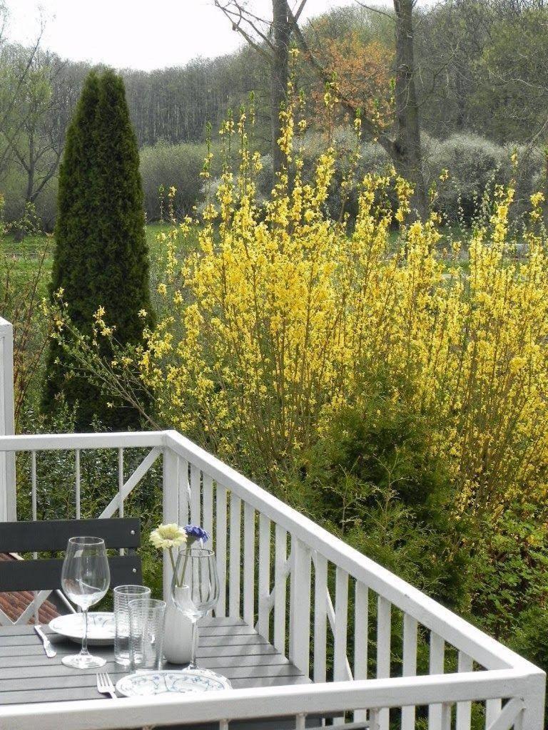 Ferienwohnung-Nils-Holgerson-Mit-Balkon-Zwischen-Strand-Wald-Wiese-Im-Suedosten-Der-Insel-Ruegen Gustow  Екстериор снимка